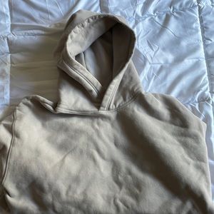 Aritzia Cozy Fleece Perfect Hoodie